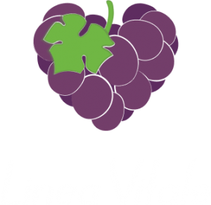 logo-2